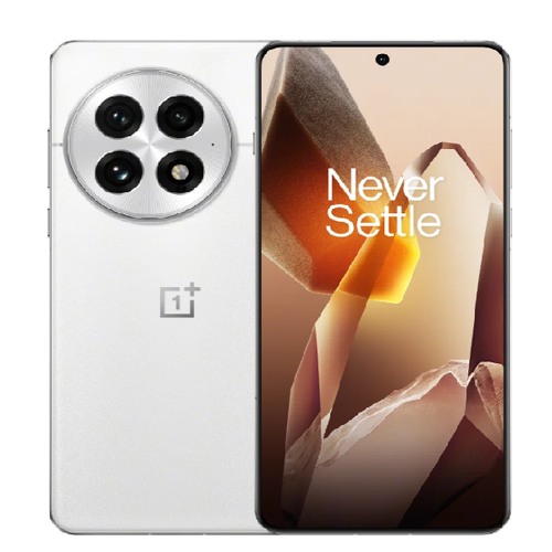 Телефон OnePlus 13 256Gb Ram 12Gb 5G Arctic Dawn фото 
